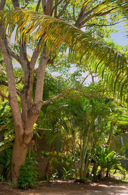 佩雷贝勒Gardens Retreat别墅 外观 照片